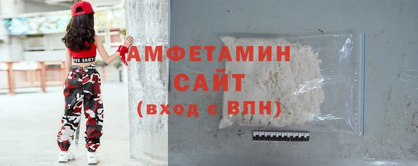 шишки Белокуриха