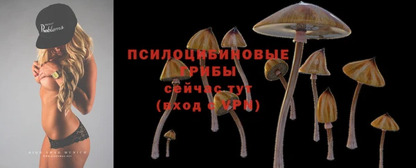 гидра Баксан