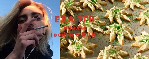 шишки Белокуриха