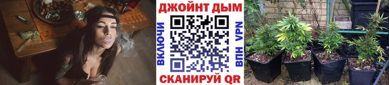 Канабис THC 21%  цены   Томари 